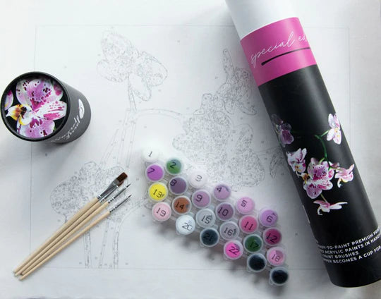 Paint By Numbers Kit - Special Edition