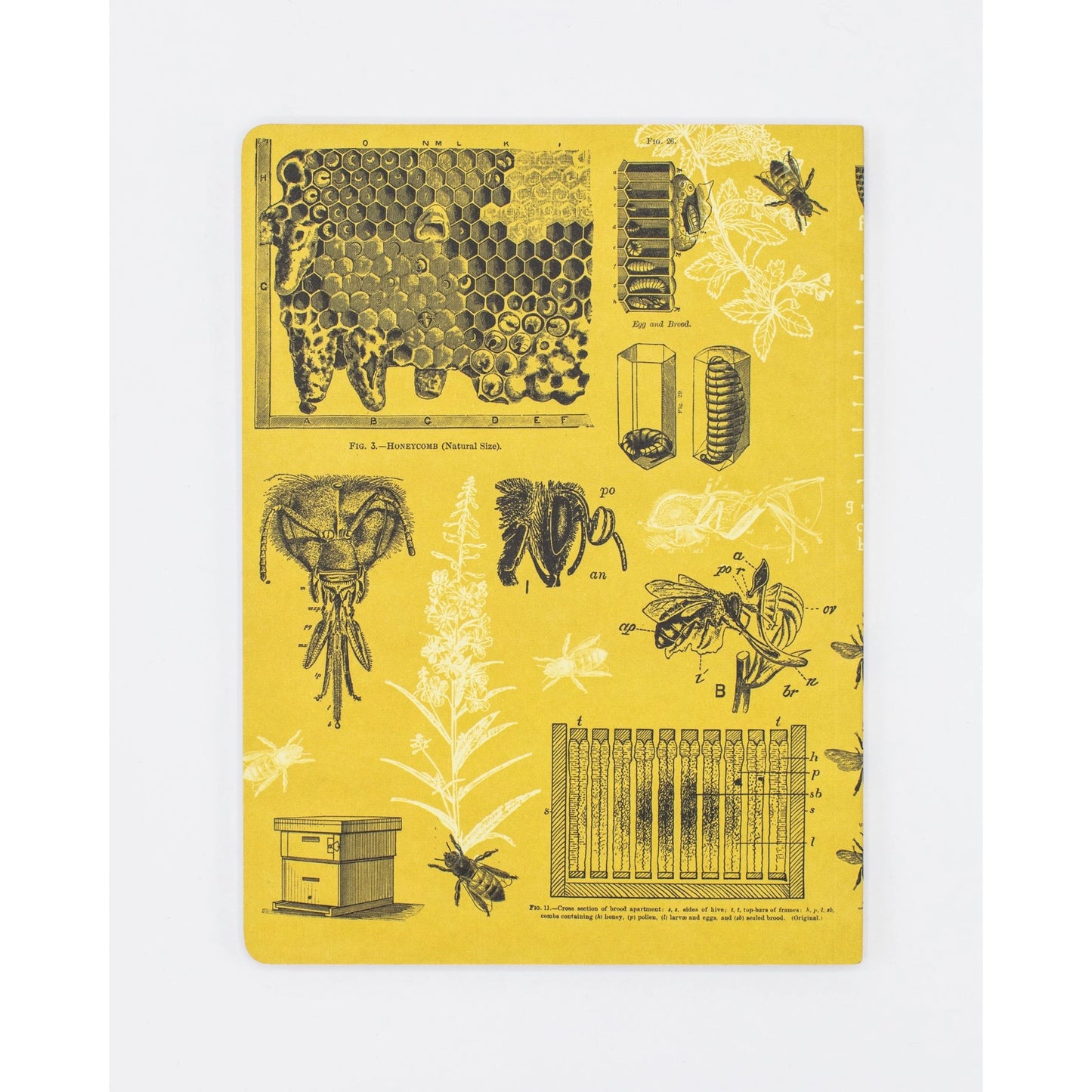 Bees Softcover Notebook Lined