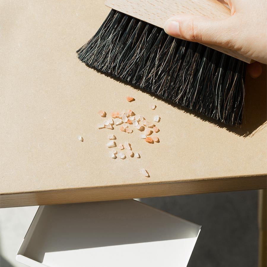 Mini Brush and Dustpan Set