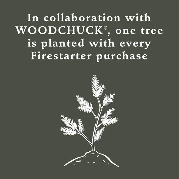 Firestarters - Evergreen Forest