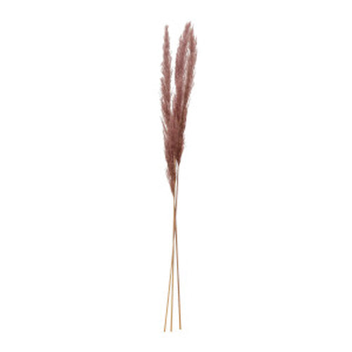 Dried Natural Pampas Grass Bunch, Lilac Color Contains 3 Pieces