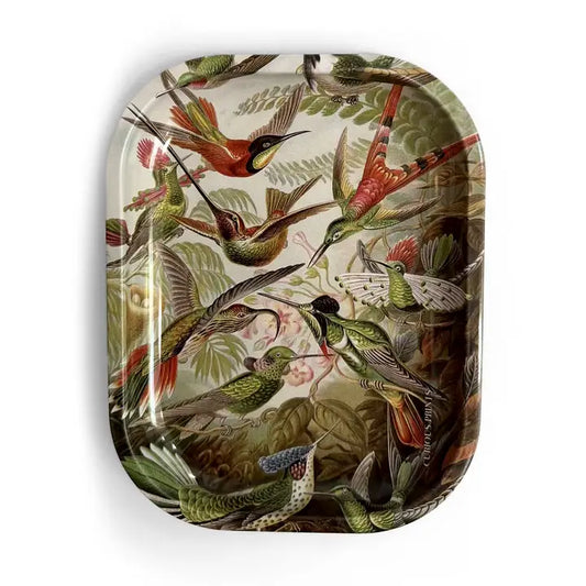 Small Metal Vintage Haeckel Hummingbirds Decorative Tray