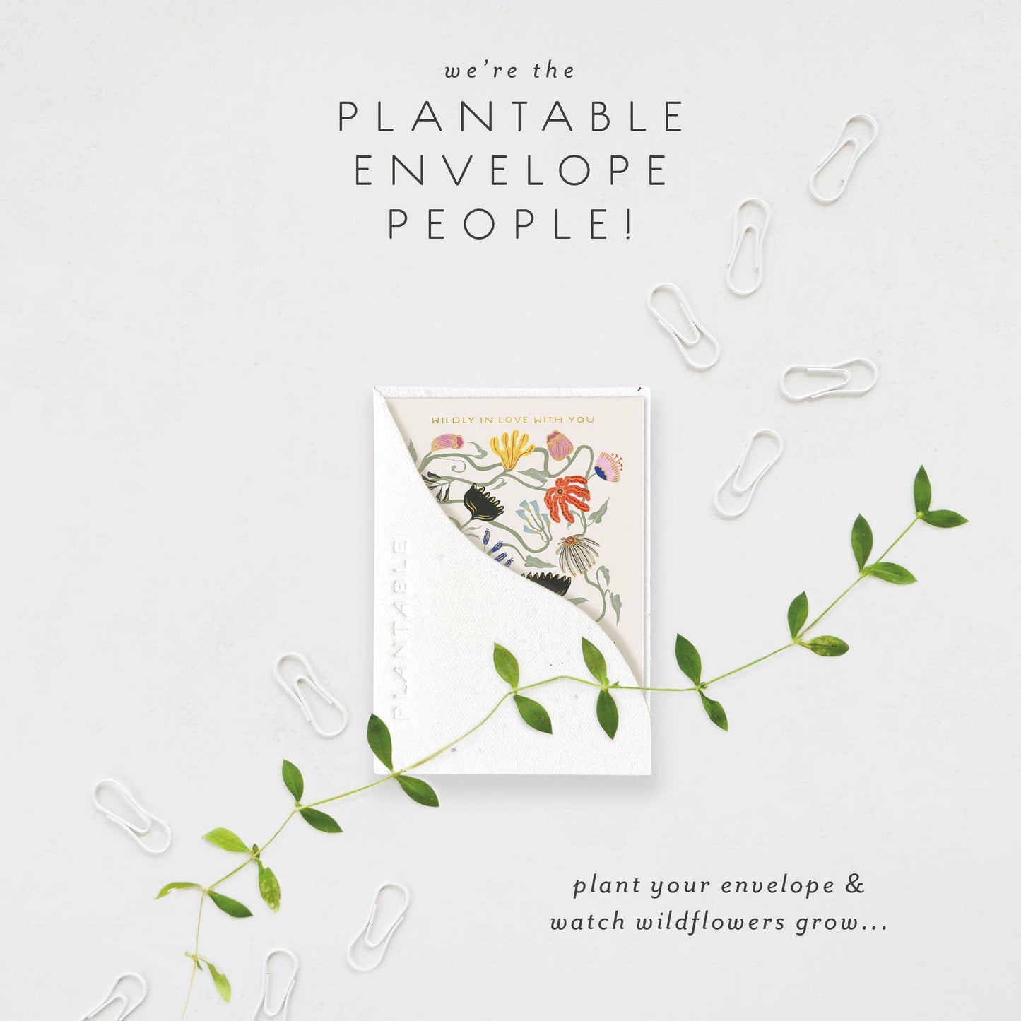 Wildly In Love Sprout - Love + Friendship Mini Greeting Card