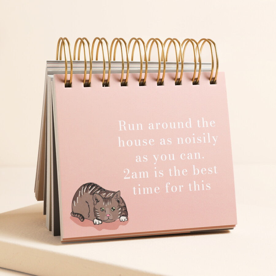 Be More Cat Desktop Flip Chart