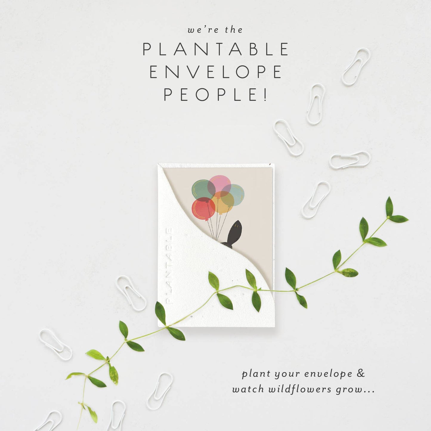 Birthday Kitty Sprout - B'day Mini Greeting Card 2.5" x 3.5"