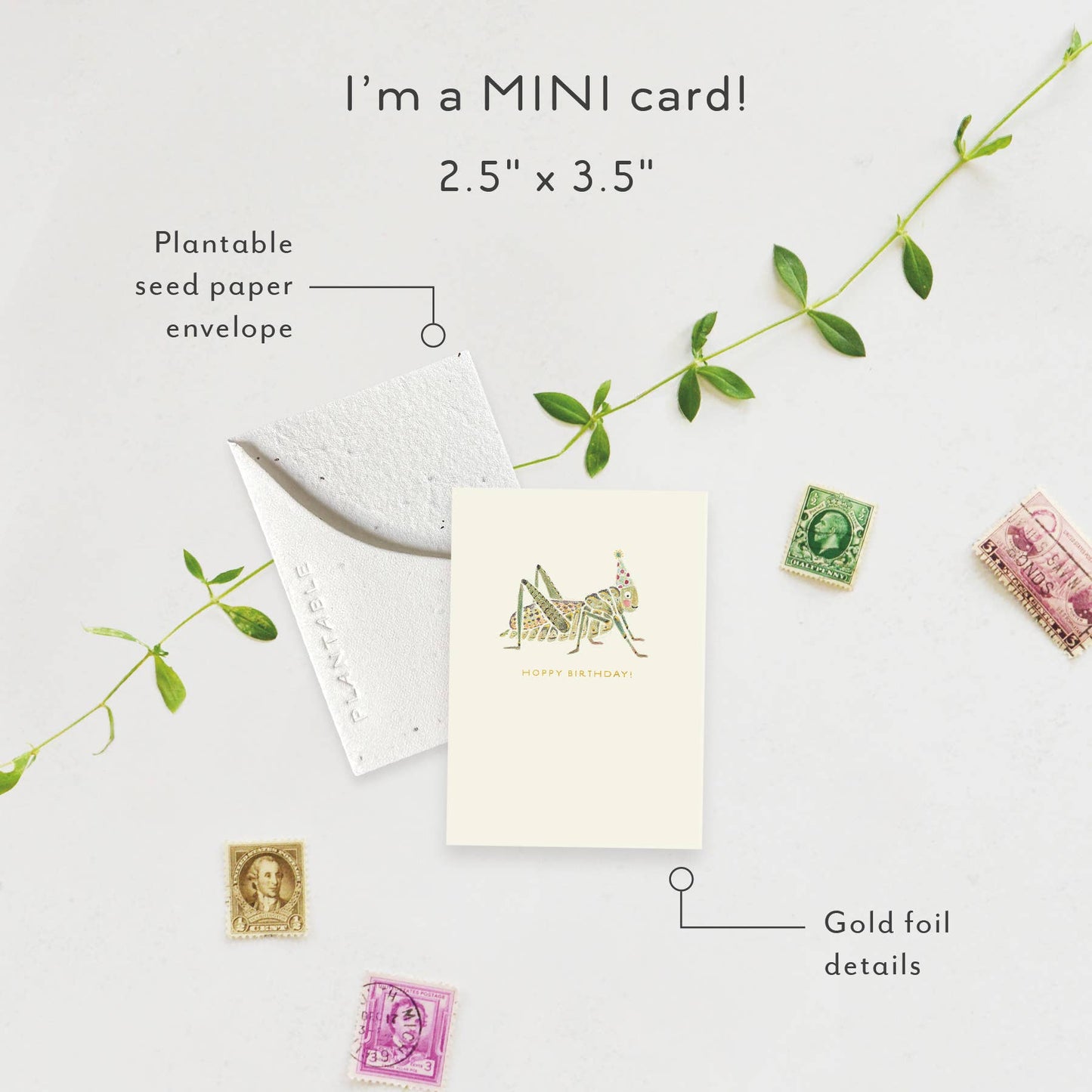 Hoppy Bday Sprout - Birthday Mini Greet 2.5 x 3.5
