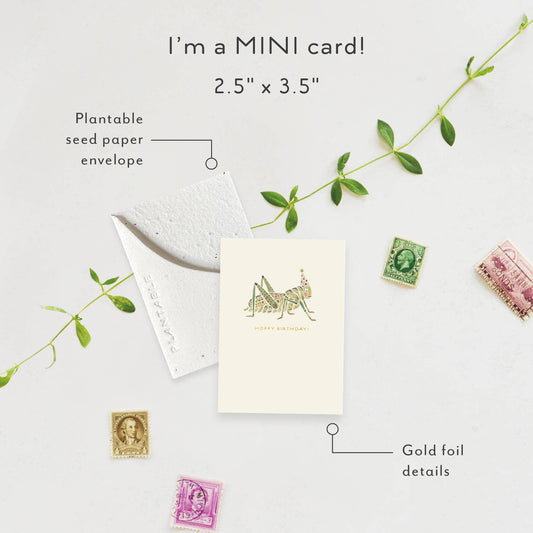 Hoppy Bday Sprout - Birthday Mini Greet 2.5 x 3.5