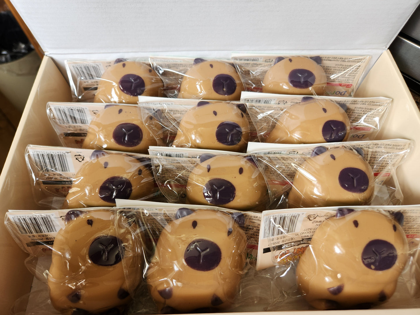 Squishy Capybara Stress Toy