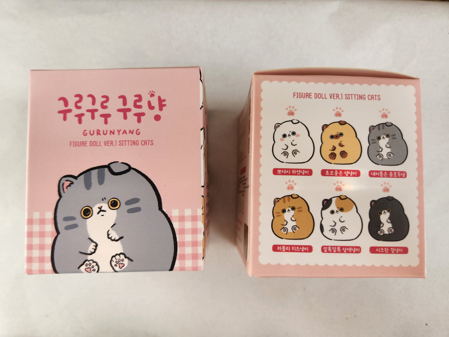 Gurunyang Sitting Cats Blind Box