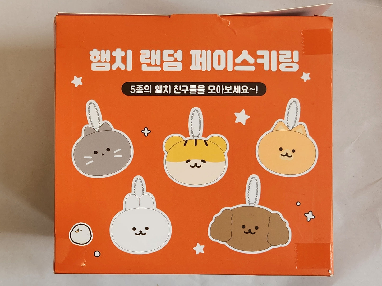 Fluffy Pet Keyring Blind Box