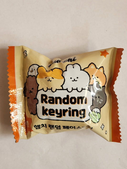 Fluffy Pet Keyring Blind Box