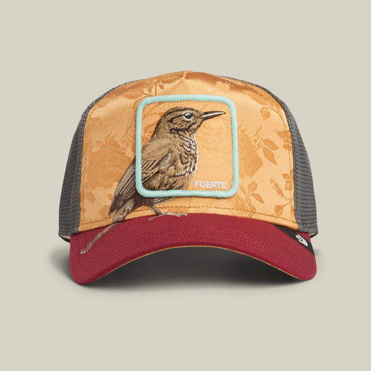 Goorin Bros. Costa Rica Thrush | Amber
