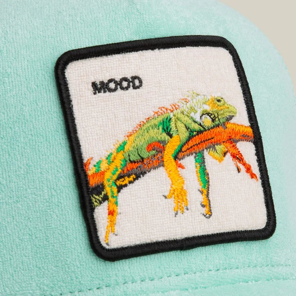 Terry Cloth Iguana
