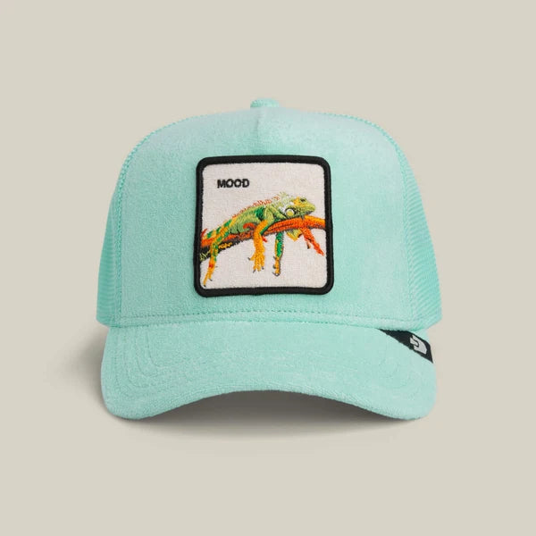 Terry Cloth Iguana