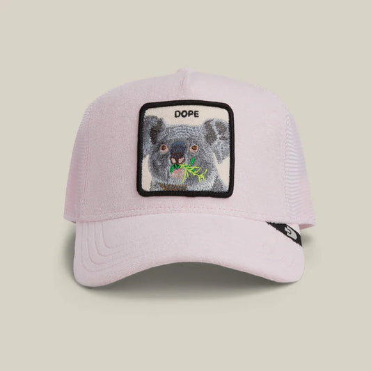 Terry Cloth Koala