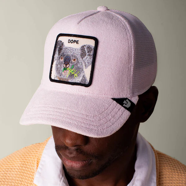 Terry Cloth Koala