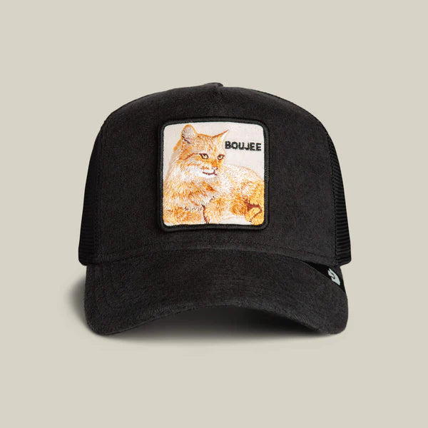 Terry Cloth Cat