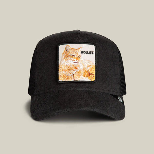 Terry Cloth Cat