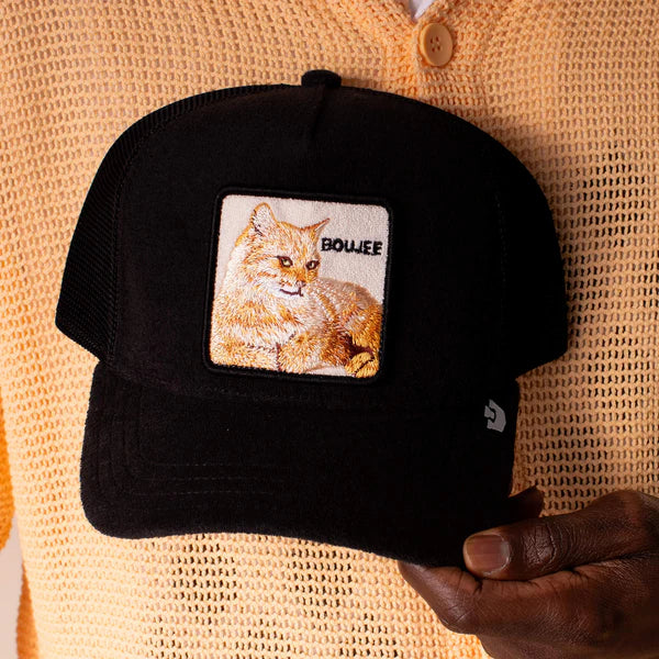 Terry Cloth Cat