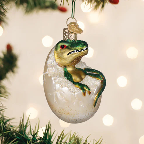 Baby Dino In Egg Ornament