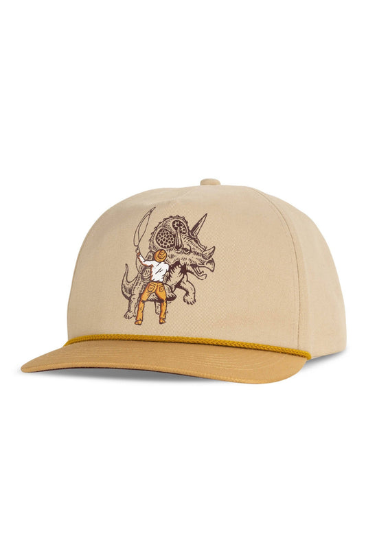 Triceratops Hat