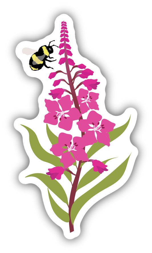 Fireweed & Bee Sticker