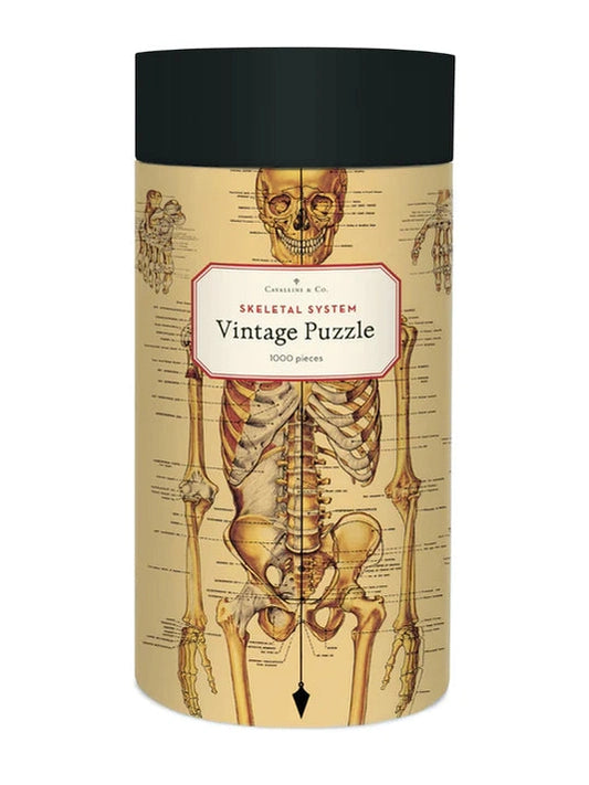 Skeletal System 1000 Piece Puzzle