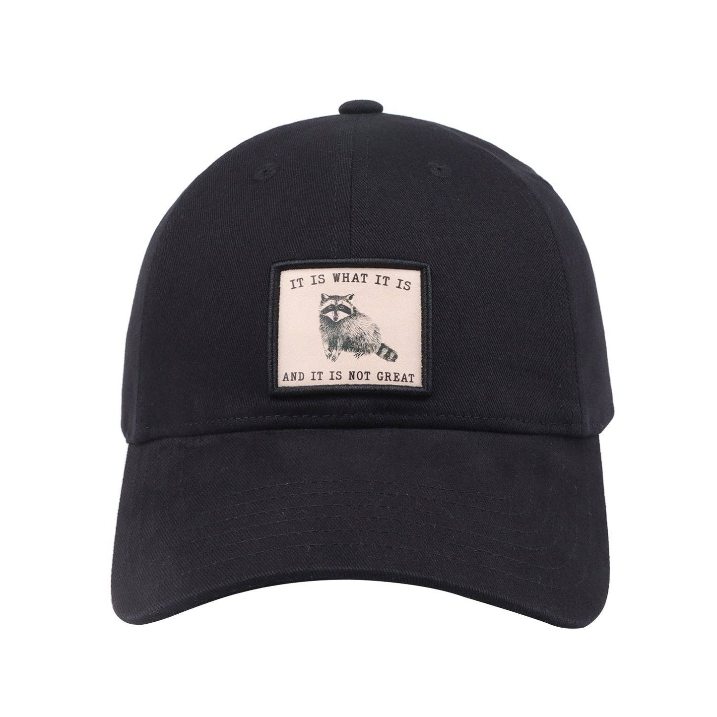 It Is What It Is And It Is Not Great Raccoon Baseball Cap | Funny Meme Hat | HatPhile