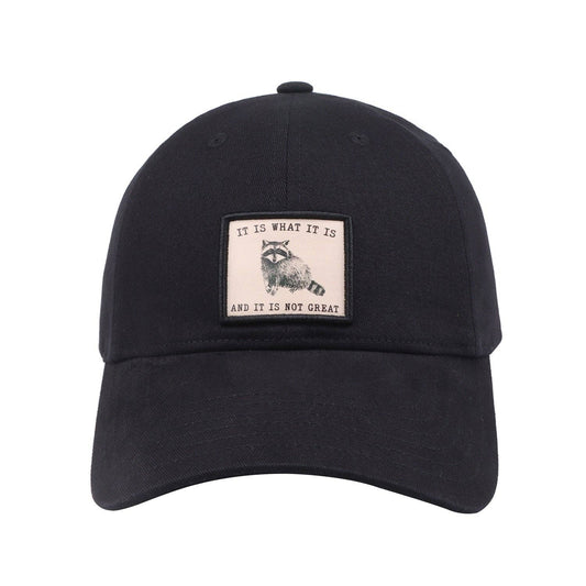 It Is What It Is And It Is Not Great Raccoon Baseball Cap | Funny Meme Hat | HatPhile