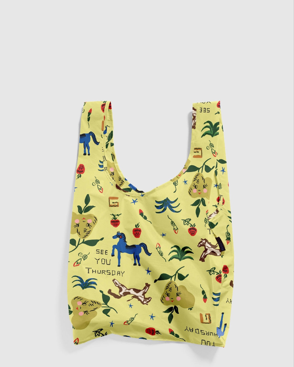Standard Baggu - Painted Prairie