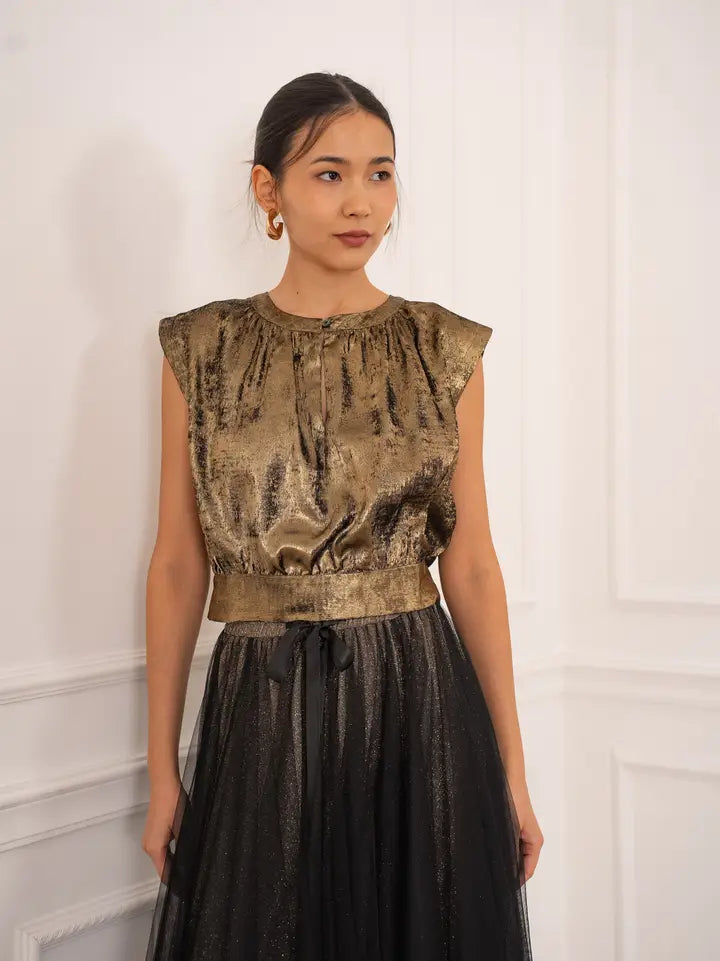 Maguie Back-Tie Crop Top - Metalic