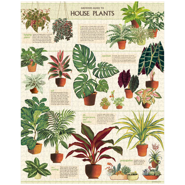 House Plants 1000 Piece Puzzle