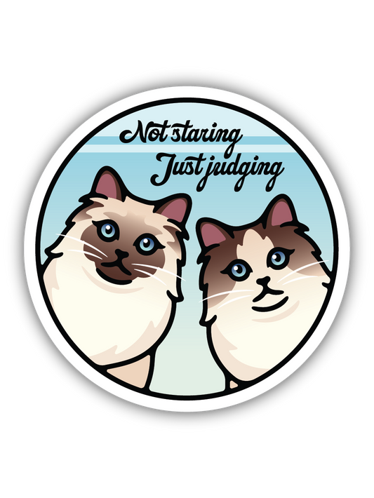 Not Staring Just Judging Cats Sticker