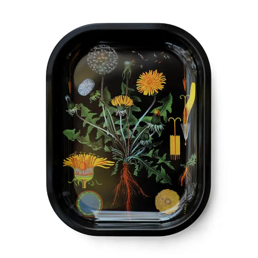 Small Metal Botanical Dandelion Trinket Tray