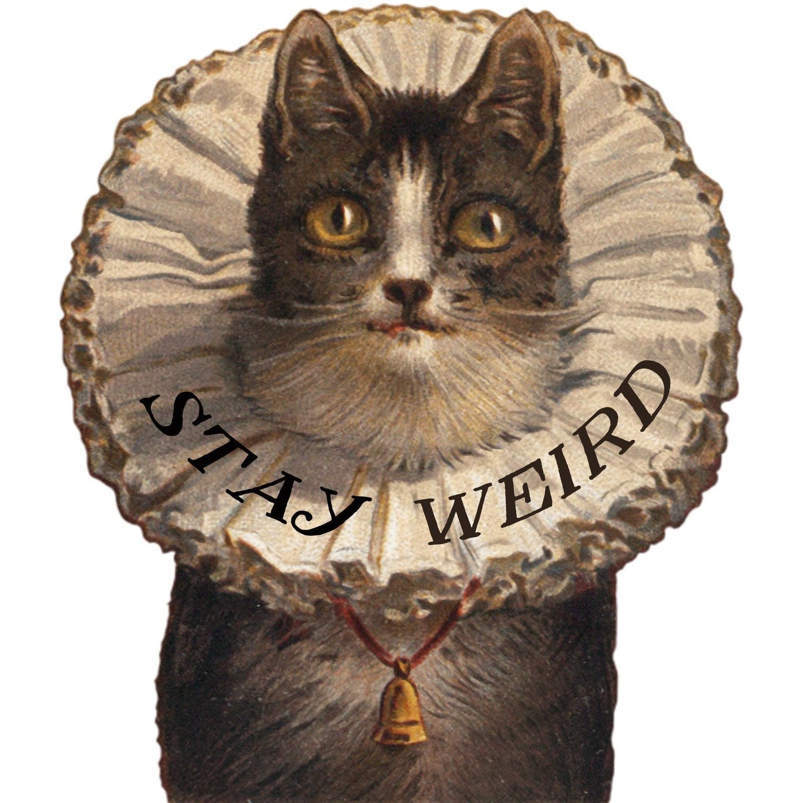 Stay Weird Kitty Sticker - Funny Cat Stickers