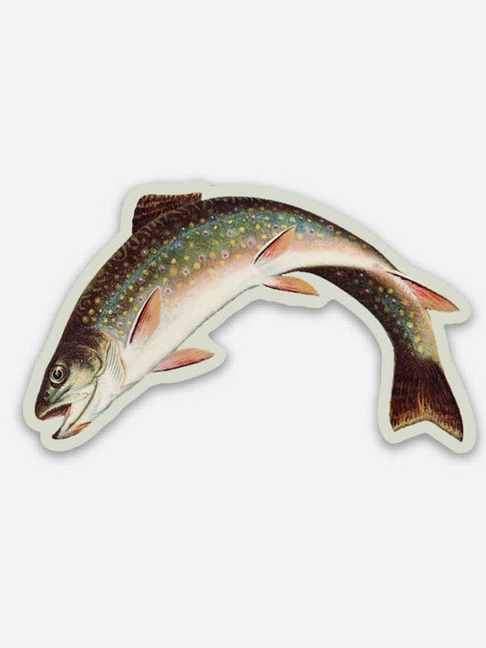 Scandalized Rainbow Trout - Gap Filler Sticker