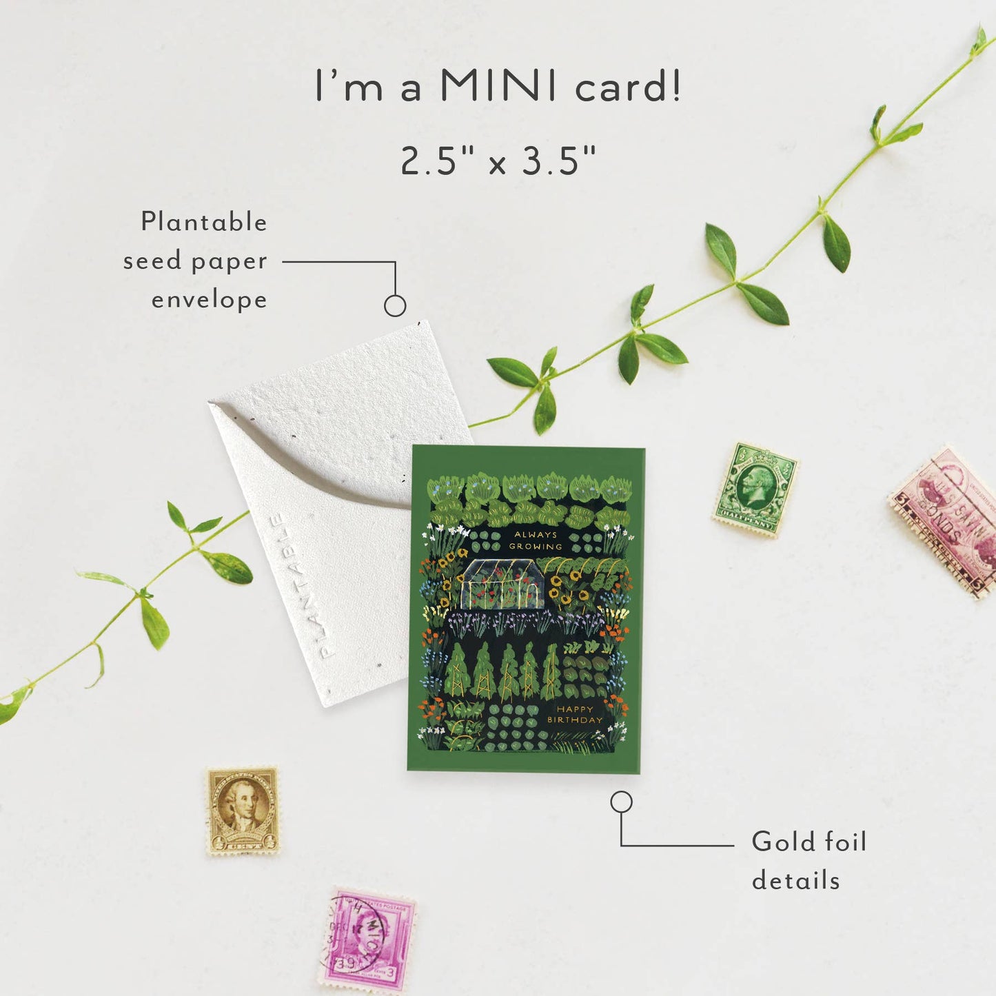Garden Greenhouse Sprout - Birthday Mini Greeting Card