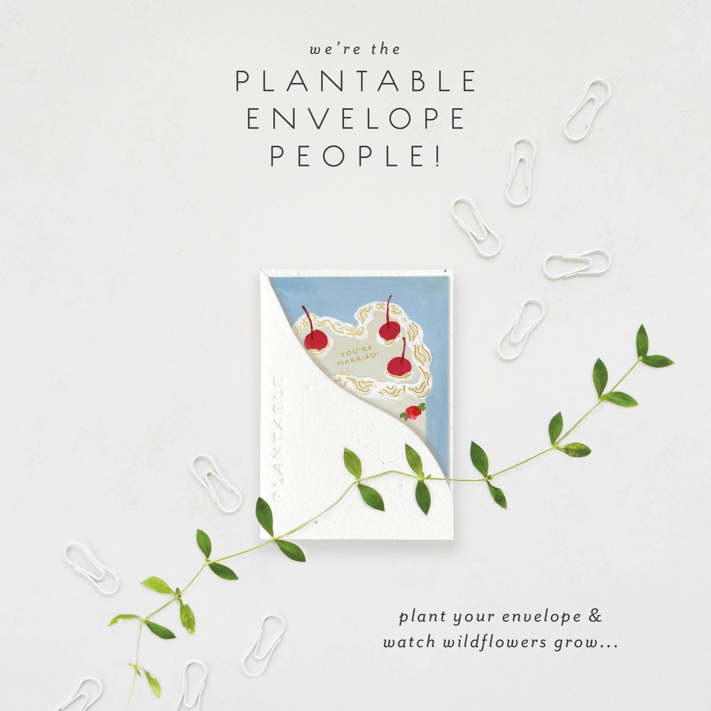 Heart You Cake Sprout - Wedding Mini Greet