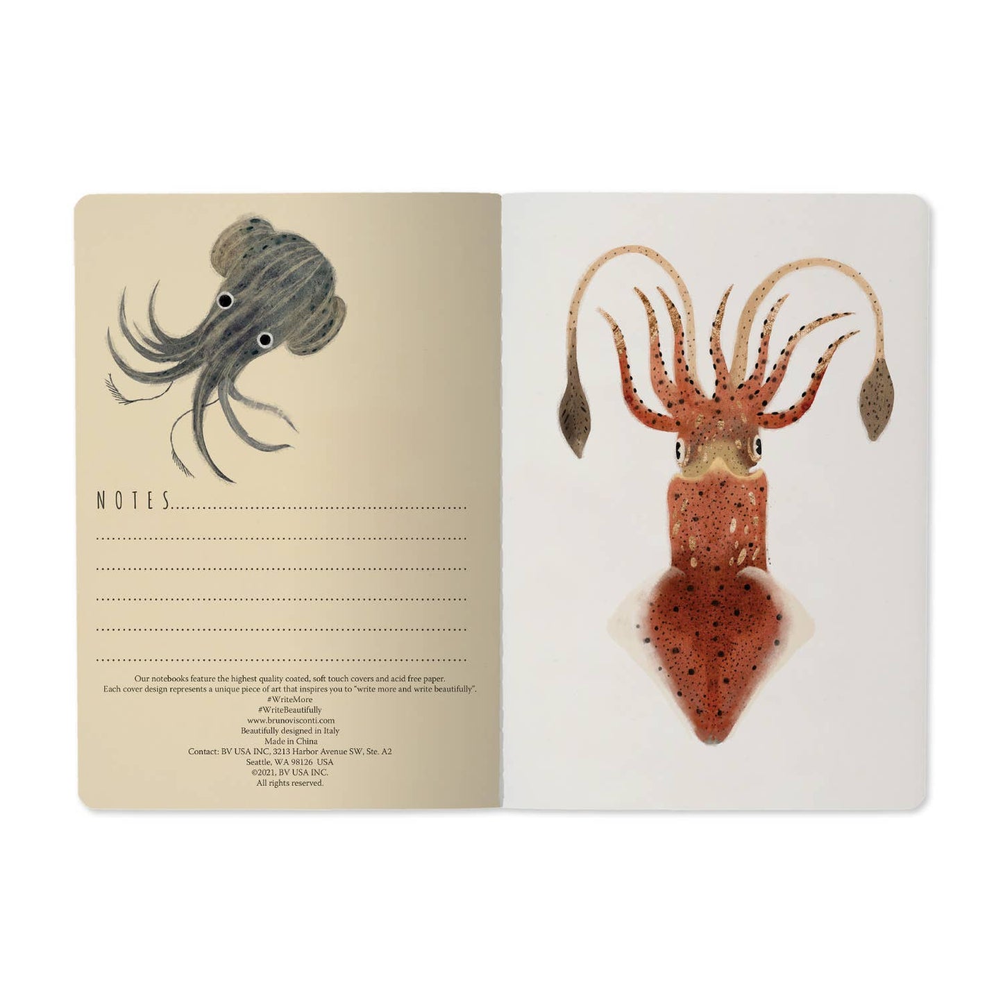 Deep Sea Notebook