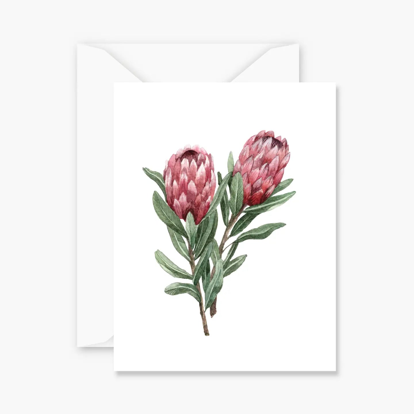 Protea Everyday Greeting Card