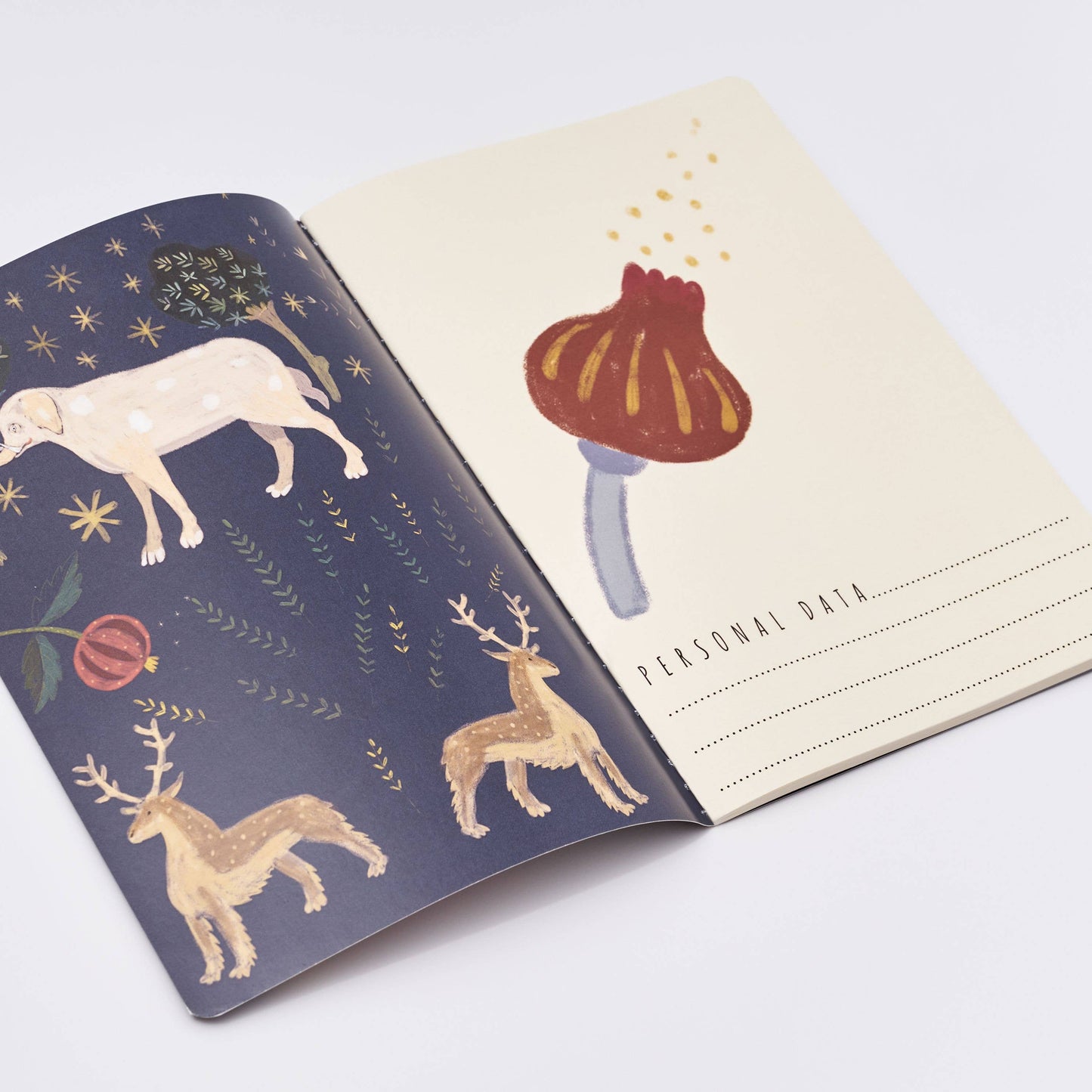 Fairytale Notebook