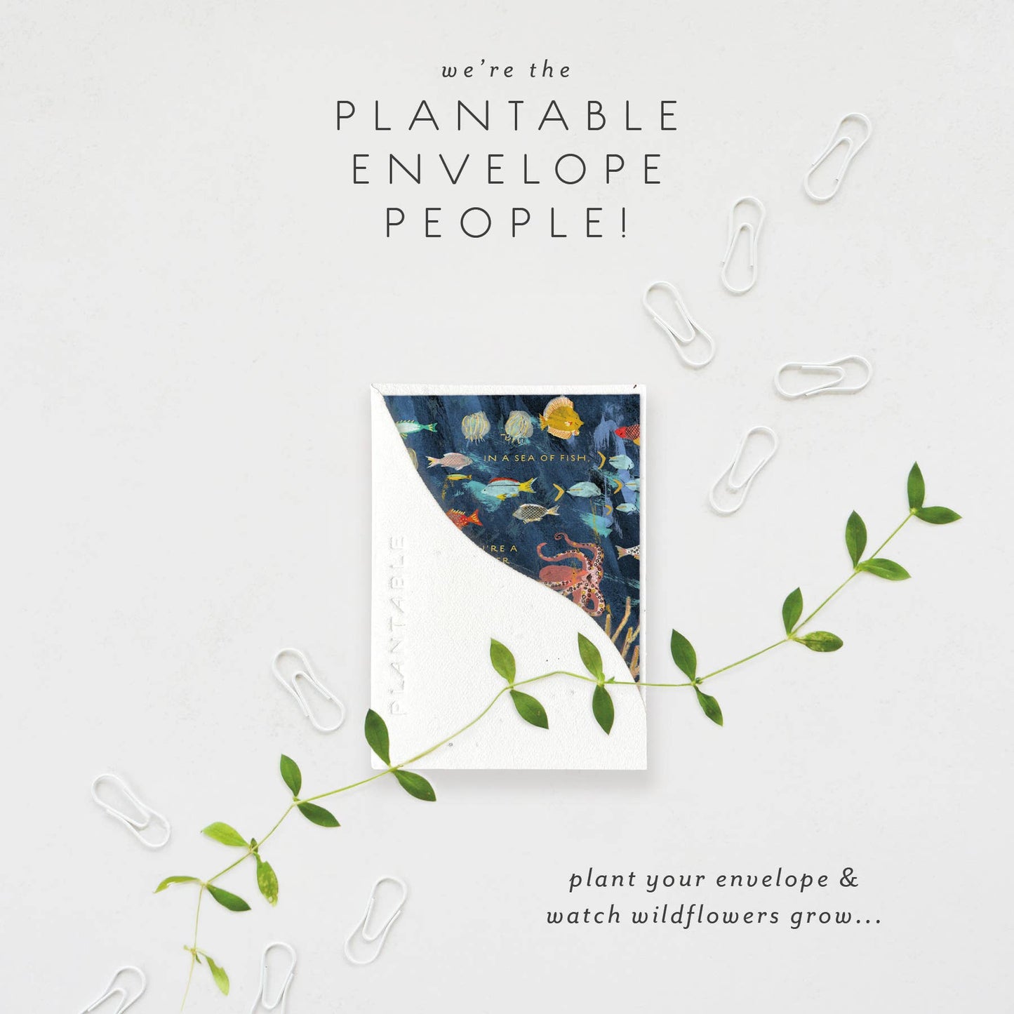 You're a Keeper Sprout- Friendship Mini Greet Card 2.5"x3.5"