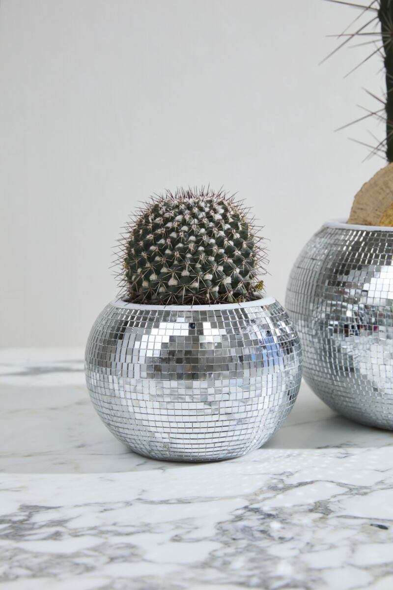 Disco Planter