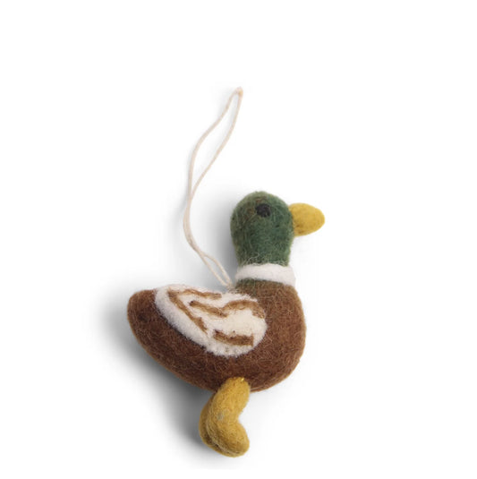 Duck