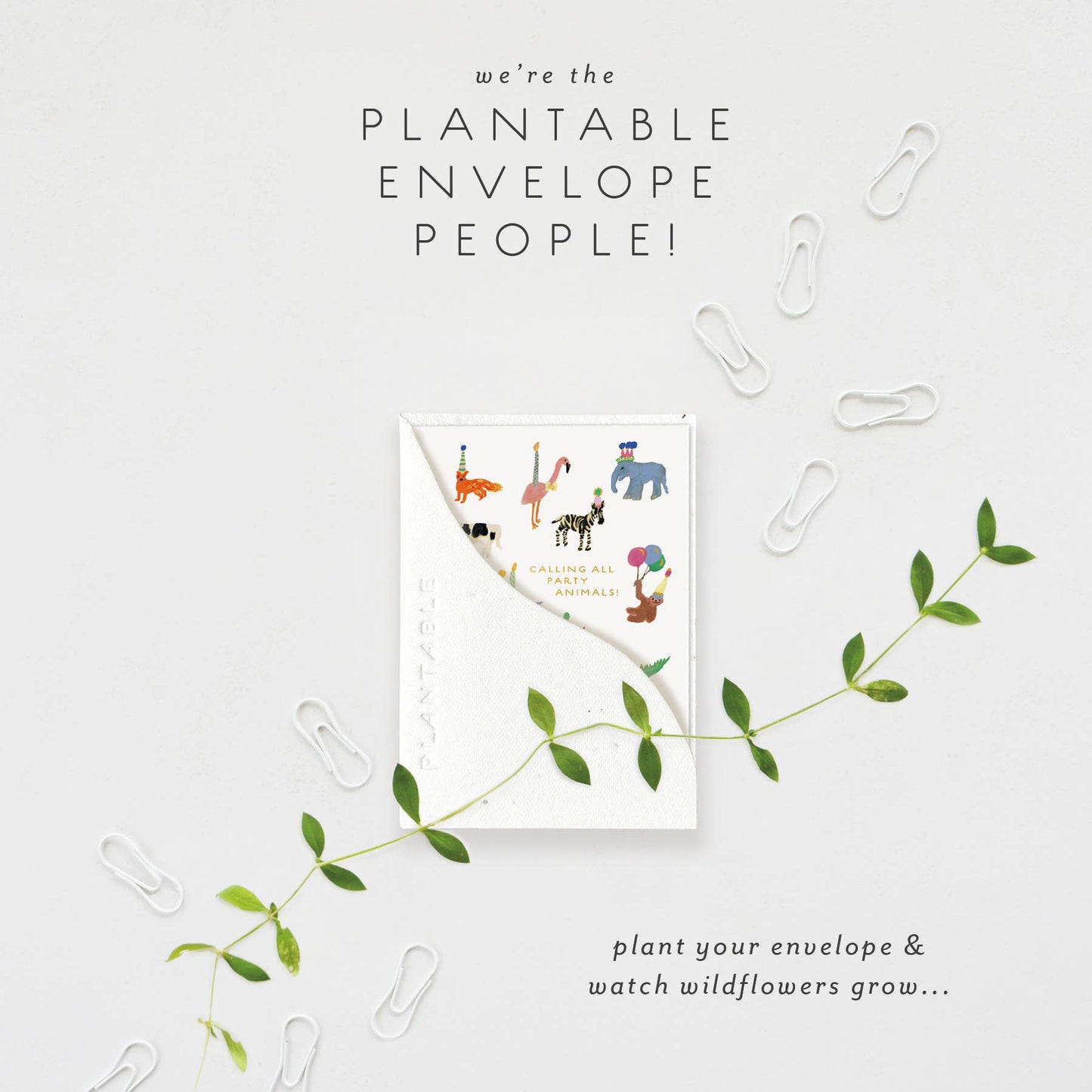 Animal Party Sprout - Birthday Mini Greeting Card
