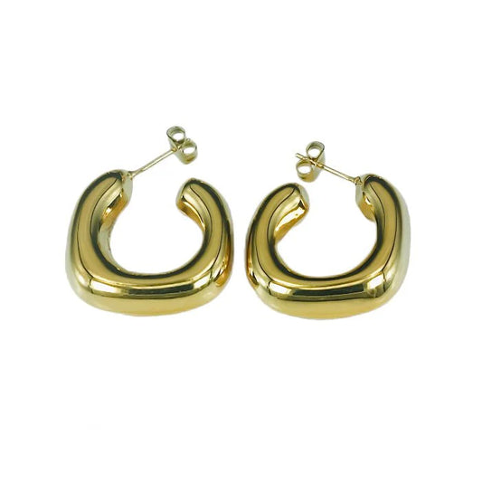 Lucas Gold Earrings