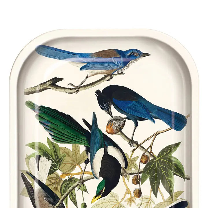 Small Metal Vintage Audubon Magpie and Jaybirds Trinket Dish