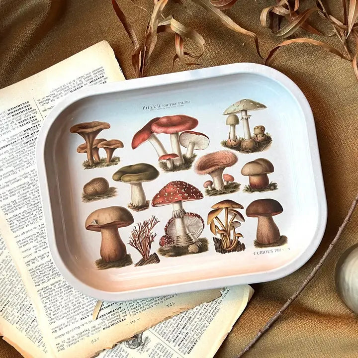 Small Metal Tan Mushroom Ritual Tray / Vintage Illustration