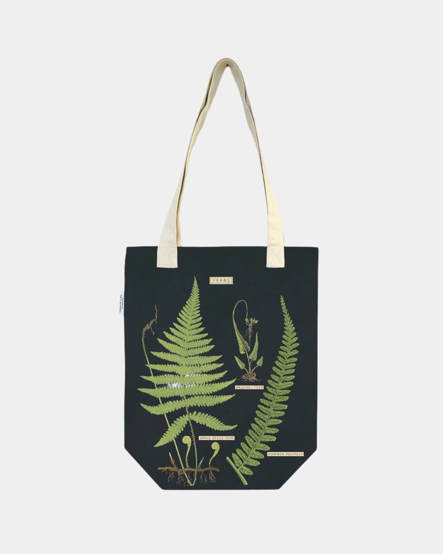 Vintage Tote | Ferns