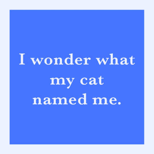 COASTER Cat Named Me | Funny Party Gift | Home Bar Decor